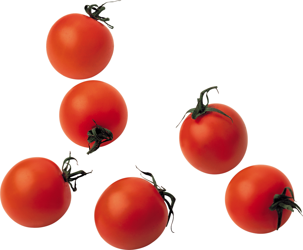 tomatos